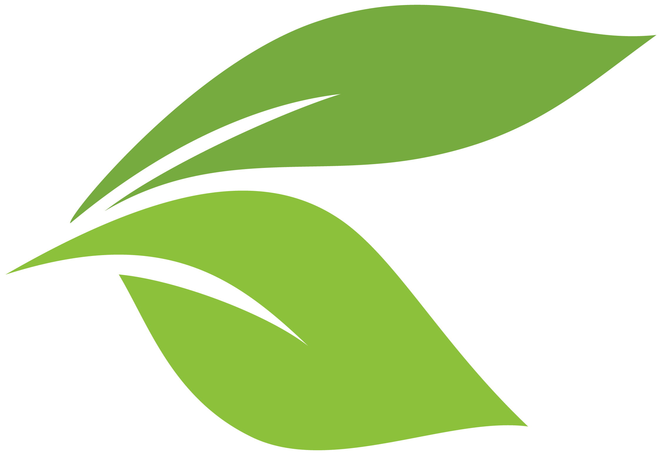 TWO SOLID LEAVES