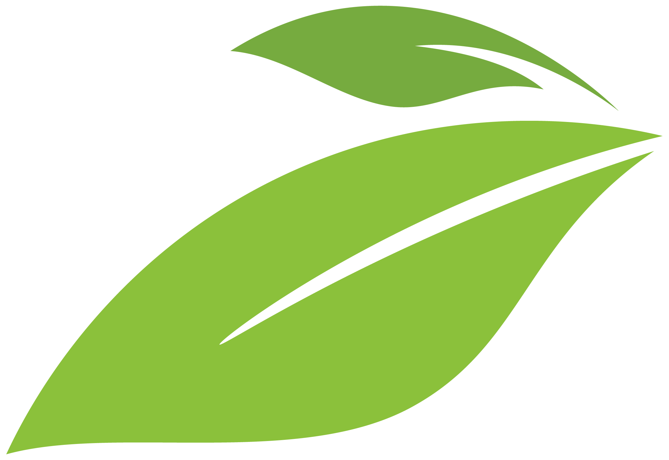 TWO SOLID LEAVES
